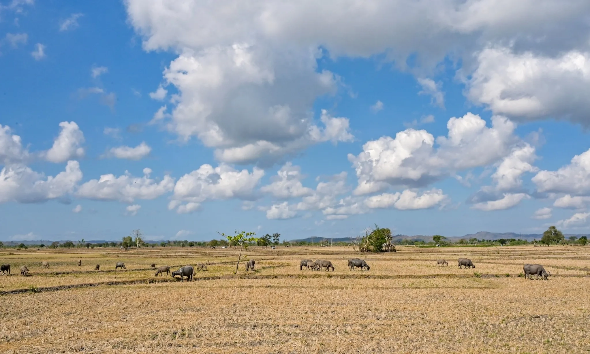 <p>Masuki Kemarau, Bencana Hidrometeorologi Masih Ancam NTT</p>