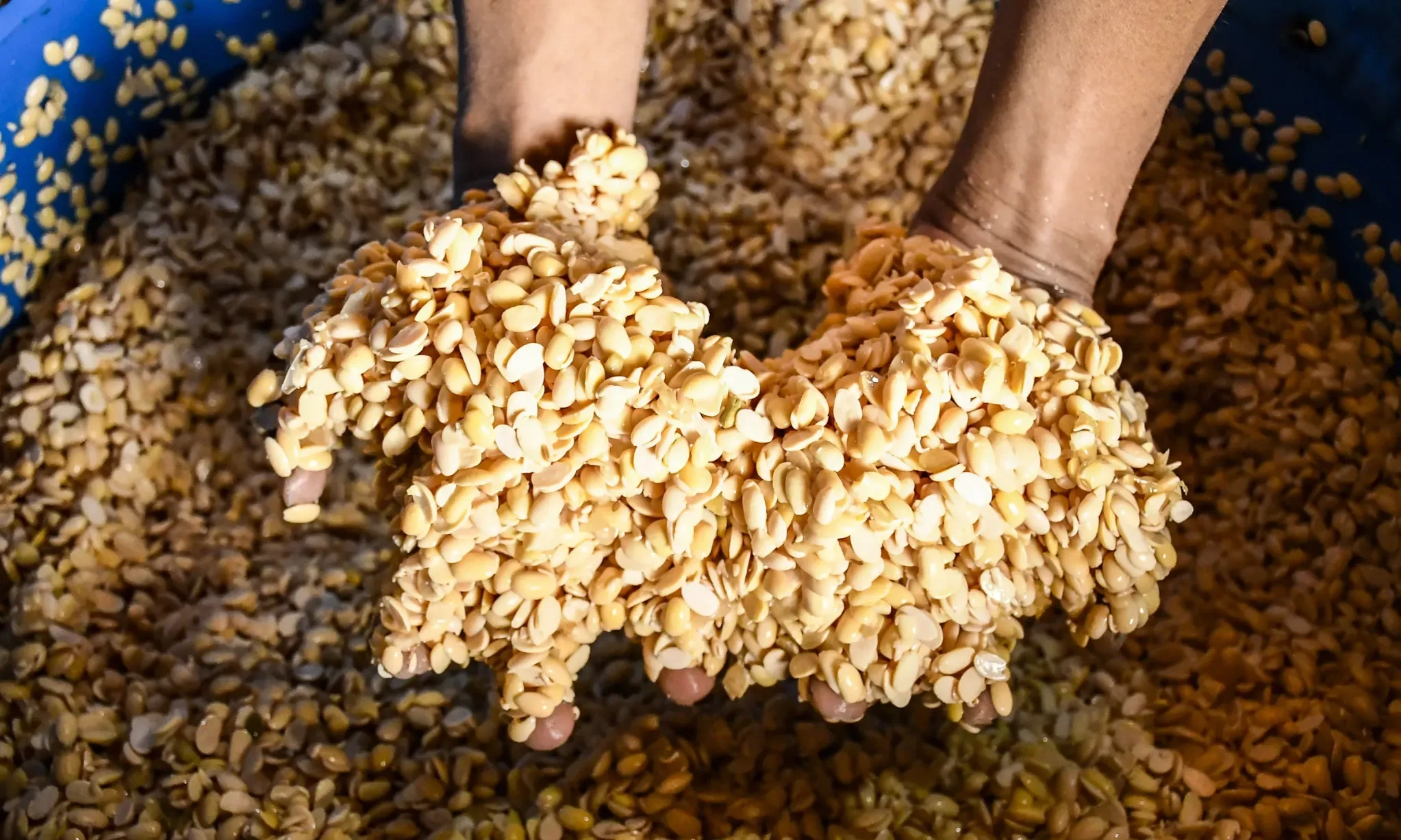 <p id="isPasted">Masih Impor Banyak Bahan Pangan, Zulhas Pastikan Indonesia Nego Tarif ke AS</p>