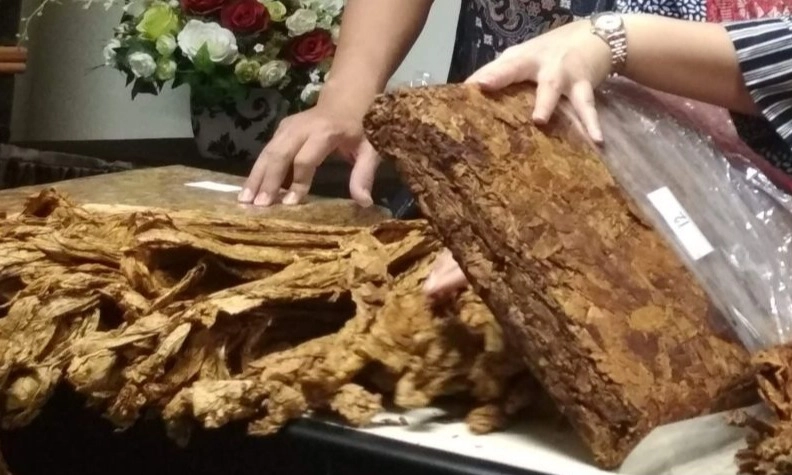 <p>Pemkab Demak Segera Bagikan BLT ke Petani Tembakau</p>