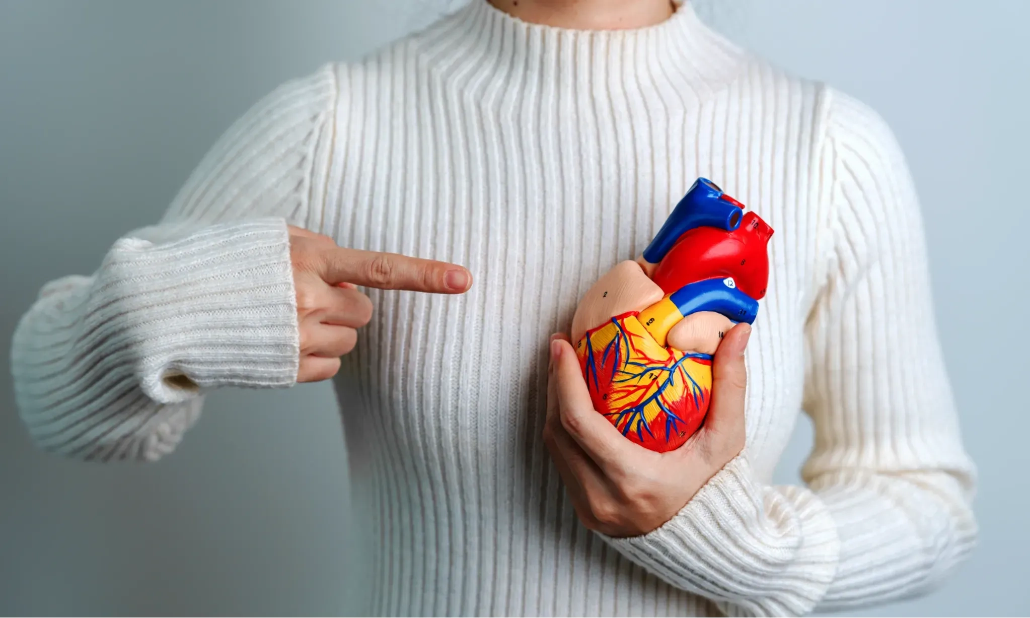 <p>Stroke Dan Serangan Jantung Masih Dominan Sebabkan Kematian</p>