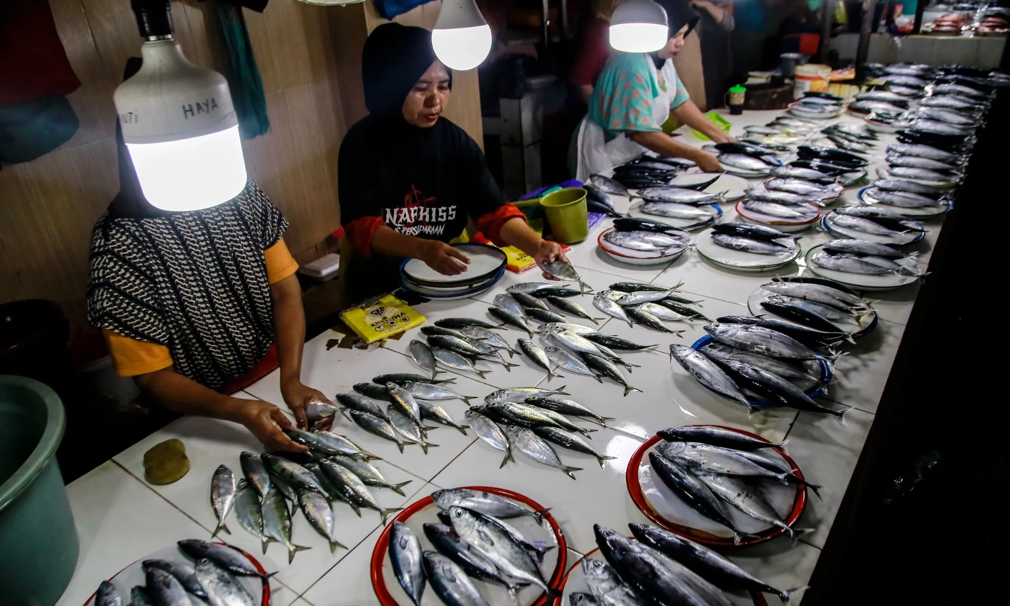 <p>Mitigasi <em>Overfishing,&nbsp;</em>DKP Sebar Puluhan Ribu Benih Ikan</p>