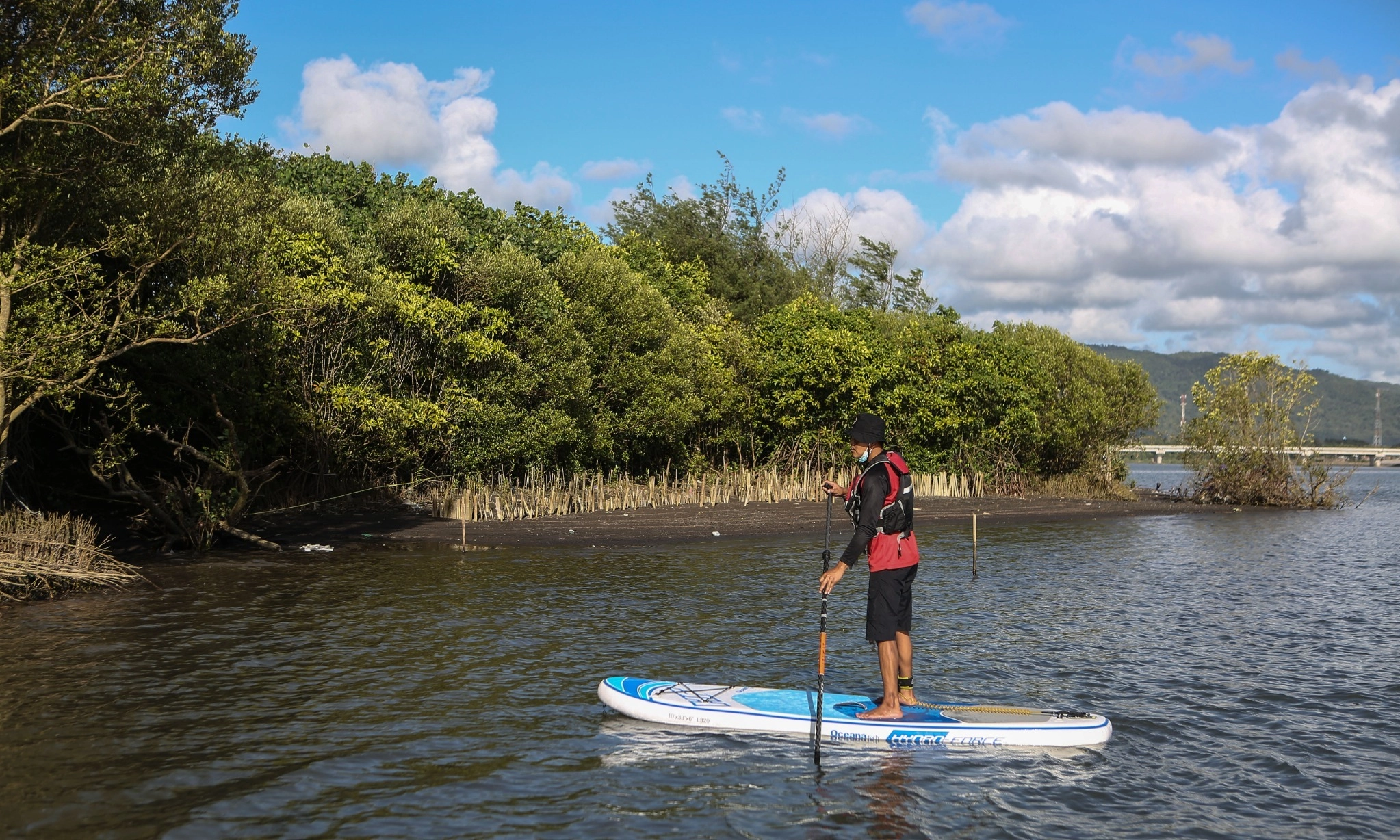 <p>RPP Mangrove Tegaskan Pelindungan dan Pengelolaan</p>