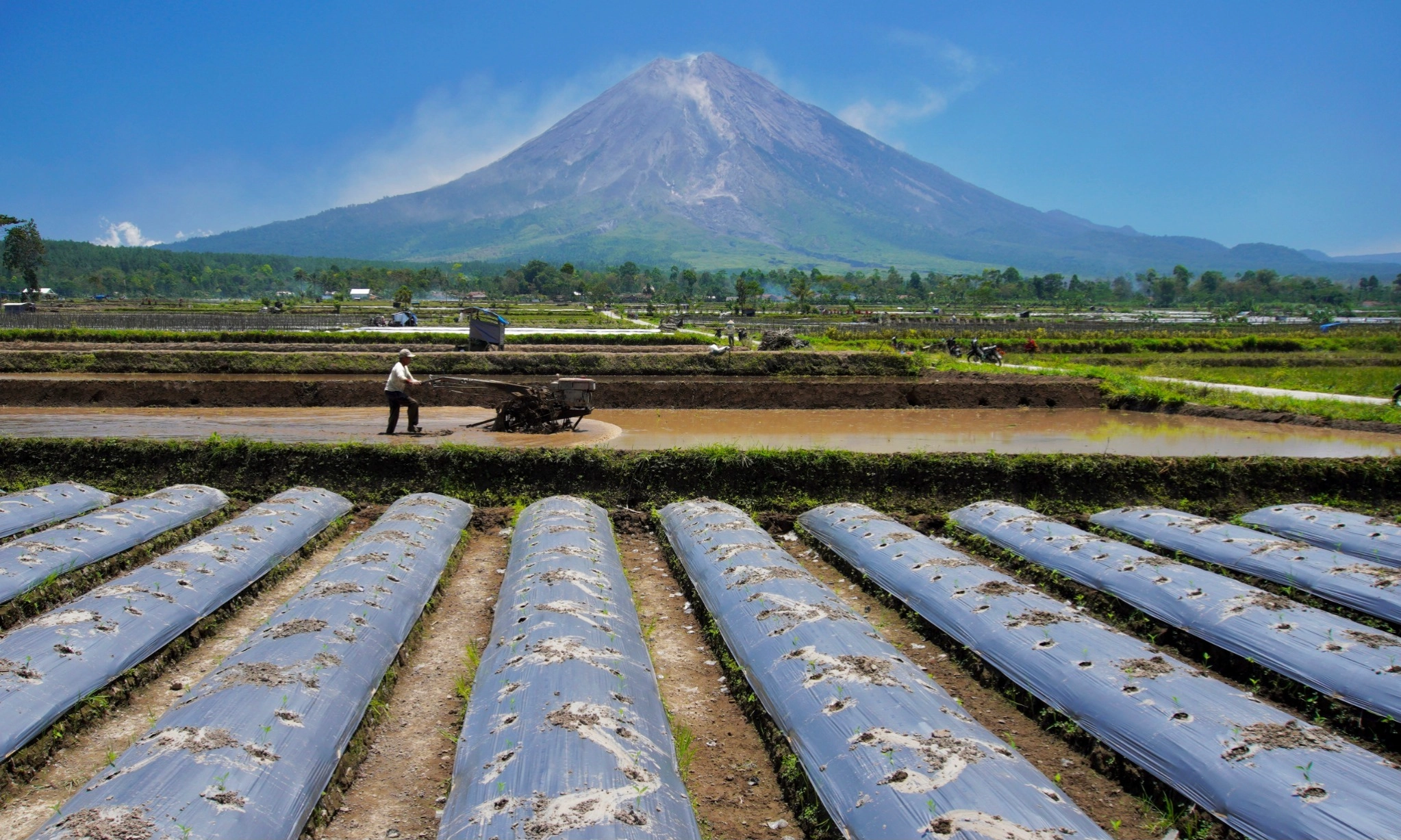<p>Sejumlah Wilayah Percepat Musim Tanam Padi</p>