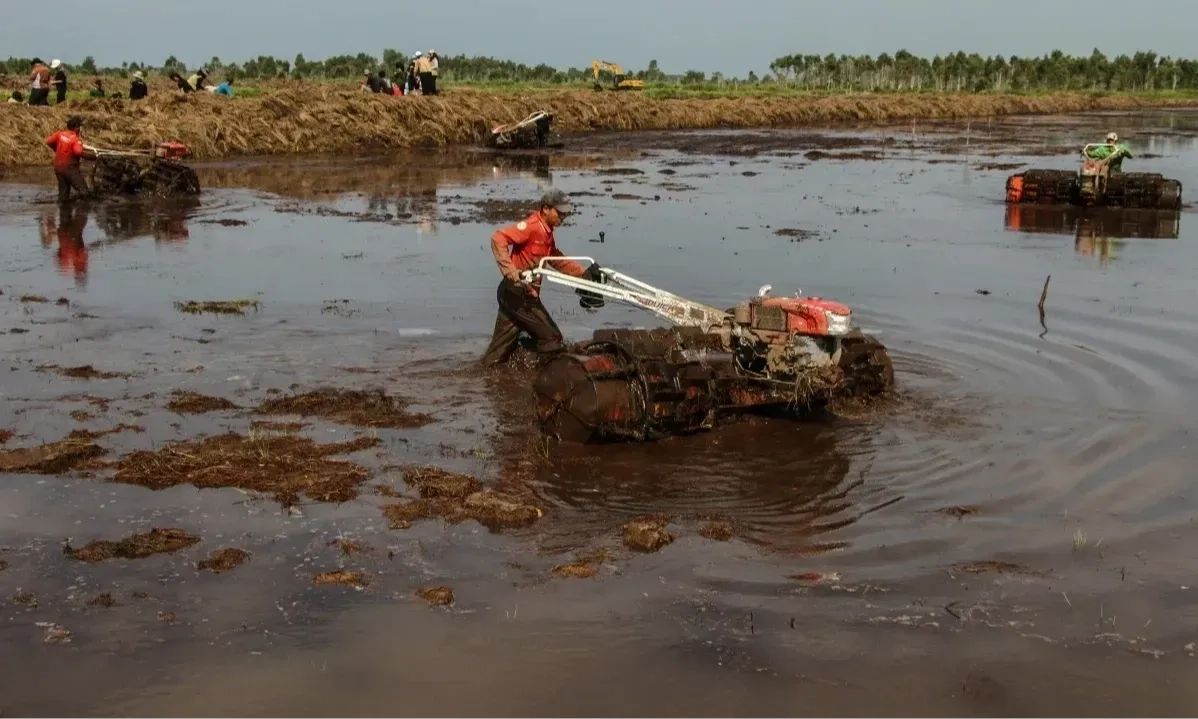 <p id="isPasted">Kementan Tegaskan Luas Cetak Sawah Hanya Separuh Dari Optimalisasi Lahan</p>