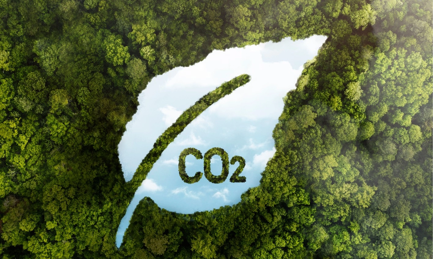 <p>Wow! Transaksi Bursa Karbon Indonesia Ungguli Malaysia Dan Laos 7 Kali Lipat</p>