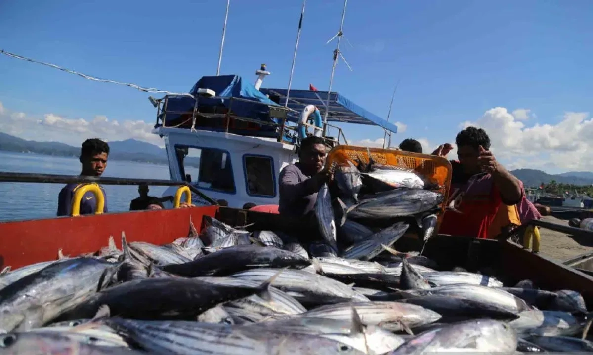 <p id="isPasted">Menteri KKP Ungkap Eropa Sebut Penangkapan Ikan Indonesia Barbar</p>