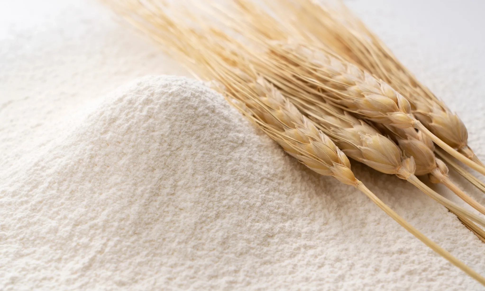 <p id="isPasted">BPS: Impor Gandum Dari AS Naik 44,21% Di Januari-Maret 2025</p>