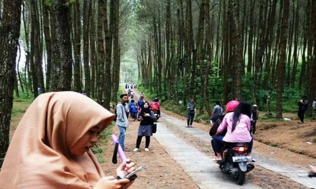 <p>Pemprov Jateng Optimalisasi Potensi Hutan</p>