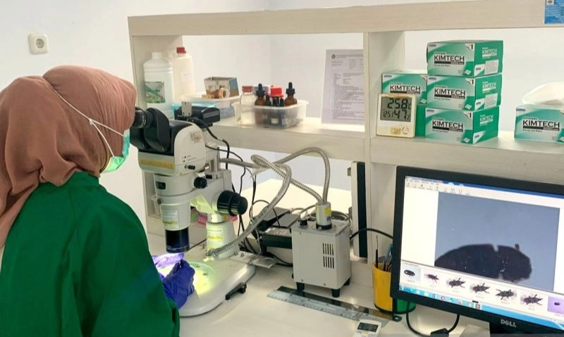 <p id="isPasted">Biji Kapuk Gorontalo Kantongi Sertifikasi Karantina Tumbuhan</p>