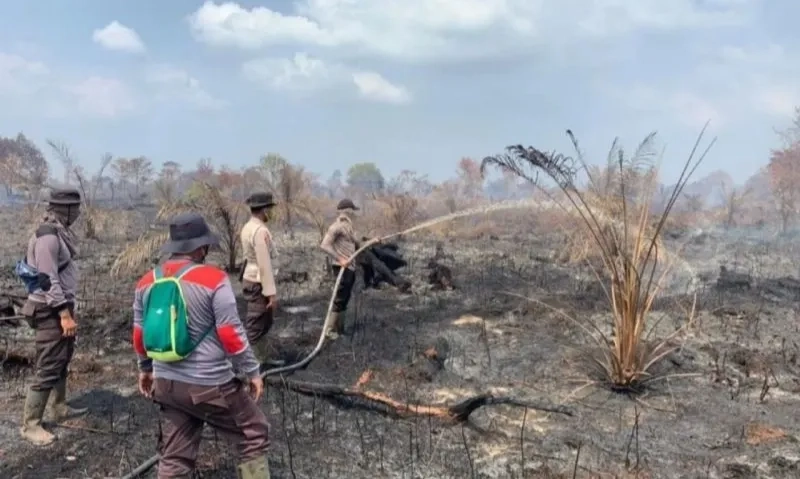 <p>Pemerintah Tetapkan Riau Darurat Bencana Karhutla</p>