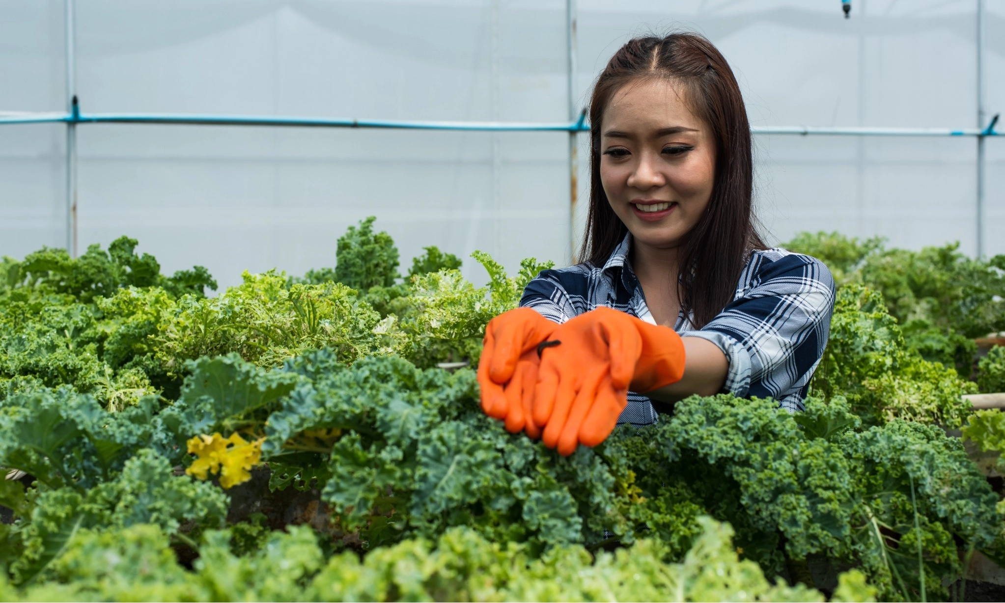 <p>Tahun Ini, Indonesia Punya 4 Juta Tenaga Kerja Hijau</p>