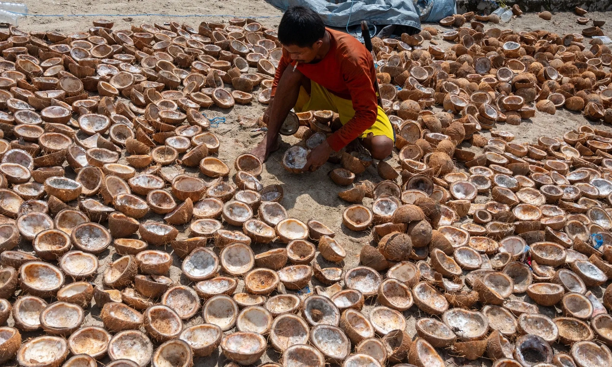 <p id="isPasted">Kelapa Langka, Buntut Petani Tak Sejahtera</p>