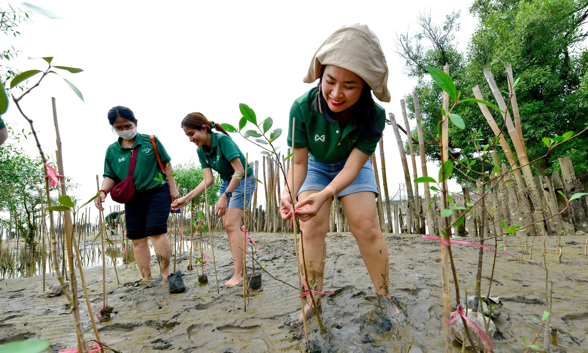 <p>Kepri Targetkan Tambah 50 Ribu Ha Mangrove Per Tahun</p>