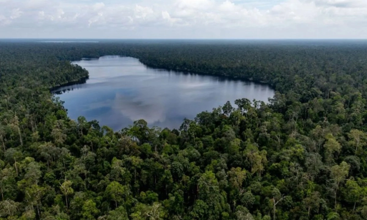 <p>DPR Harap Revisi UU Kehutanan Segera Disahkan</p>