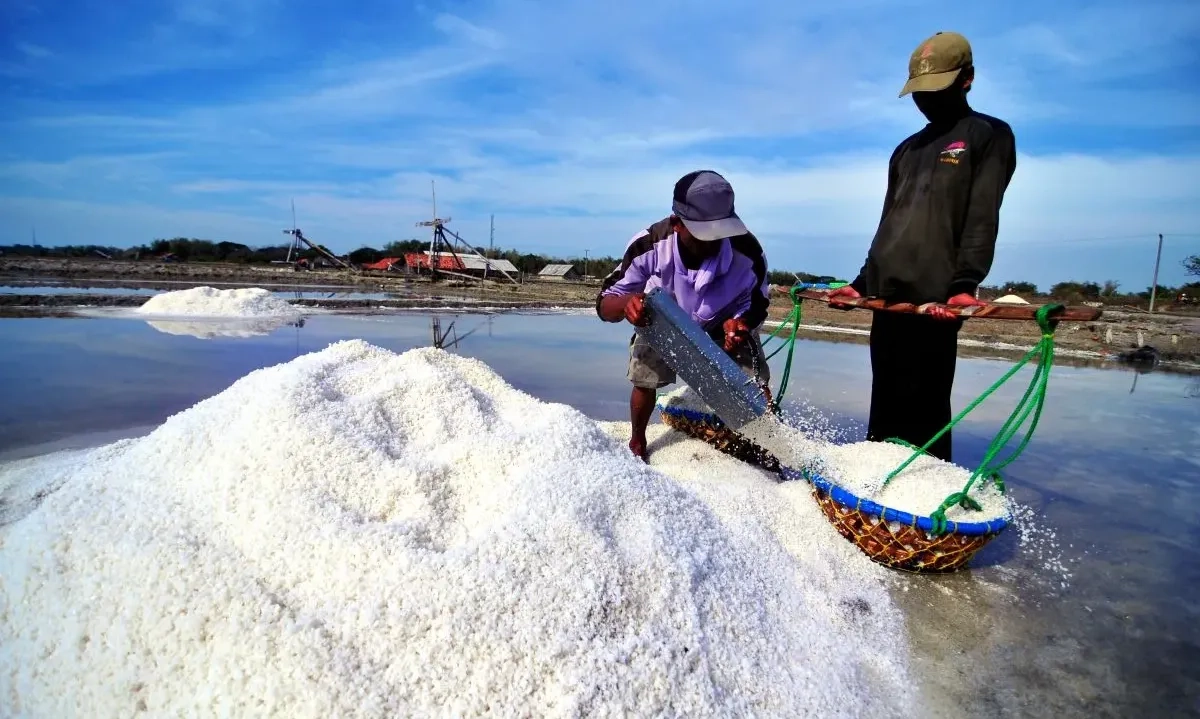 <p>Setelah Didesak Pengusaha, Pemerintah Buka Lagi Impor Garam Industri</p><div class="response-container ng-tns-c2553718177-1465 response-container-with-gpi tts-removed ng-star-inserted"><div class="presented-response-container ng-tns-c2553718177-1465"><div class="avatar-gutter ng-tns-c2553718177-1465 ng-star-inserted"><div class="bard-avatar ng-tns-c1614931162-1466"></div></div></div></div>