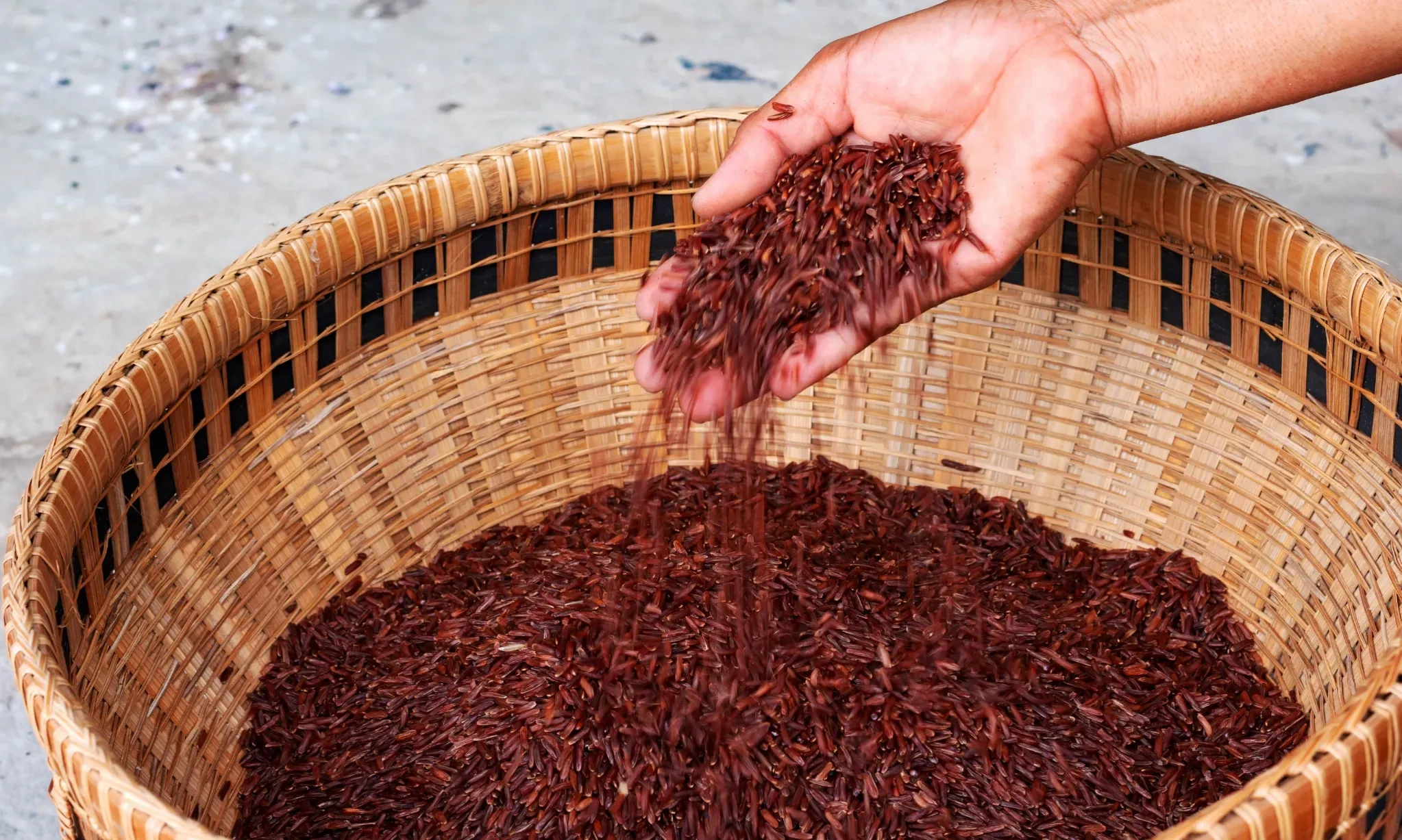 <p>Pemkab Bojonegoro Wajibkan Pegawai Konsumsi Beras Organik</p><p><br></p>