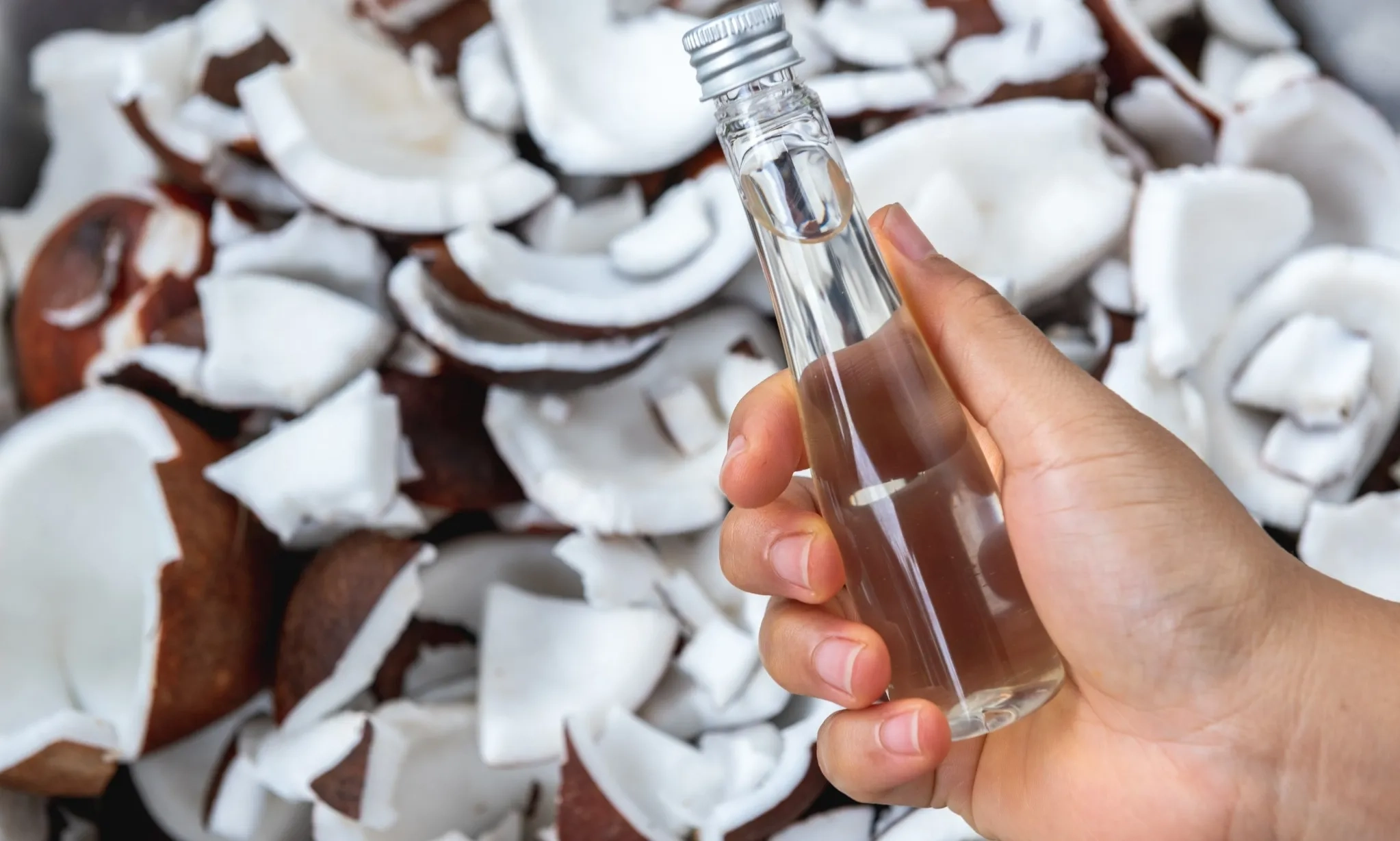 <p>Hati-hati Gunakan Minyak Kelapa Pada Kulit Berminyak</p>