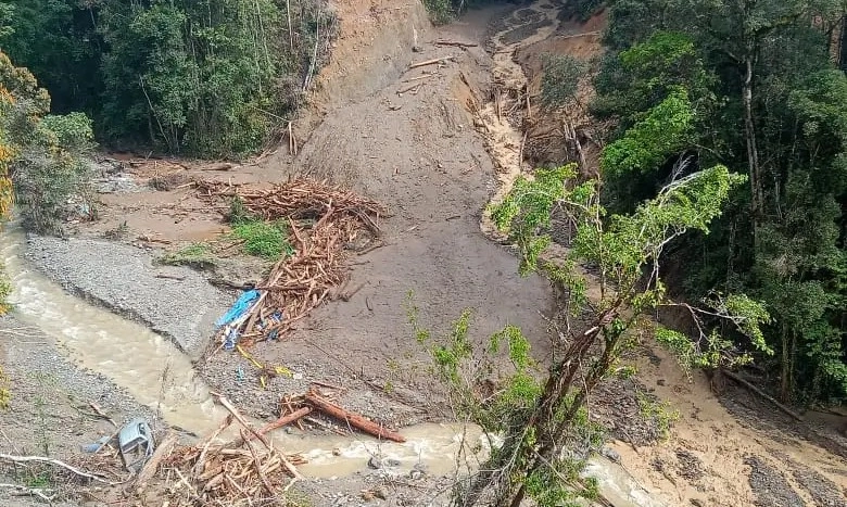 <p>Tim Temukan 15 Jenazah Korban Longsor Tambang Emas Papua&nbsp;</p>