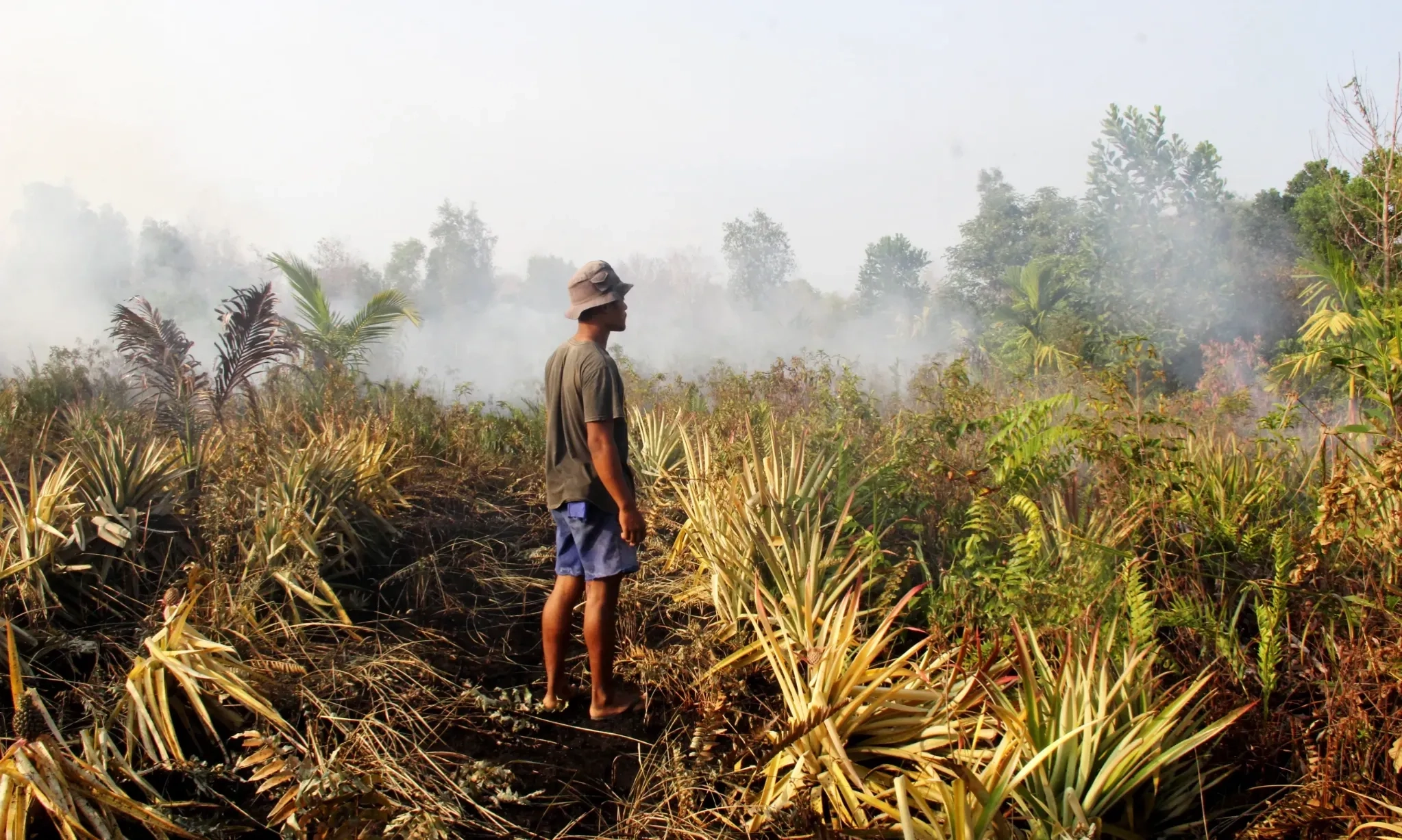 <p>KLH Catat Negara Rugi Rp18 Triliun Akibat Karhutla</p>