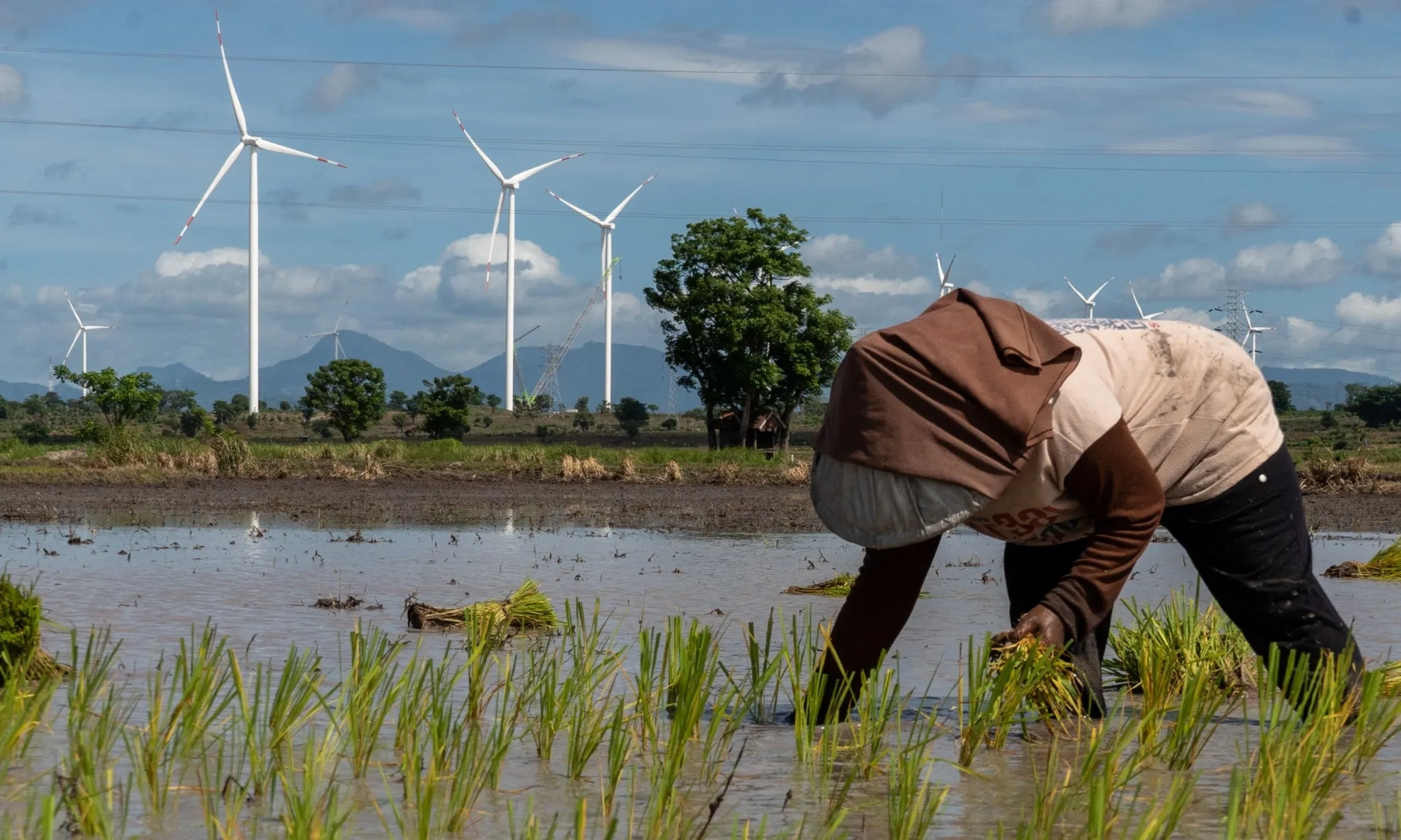 <p id="isPasted">PLN Butuh Bantuan Swasta Sukseskan RUPTL 2025-2034</p>