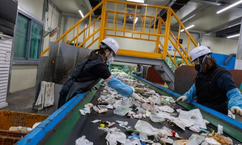 <p dir="ltr" id="isPasted">Fakta Penting Hari Lingkungan Hidup Sedunia 2025, Jeju Jadi Tuan Rumah</p>