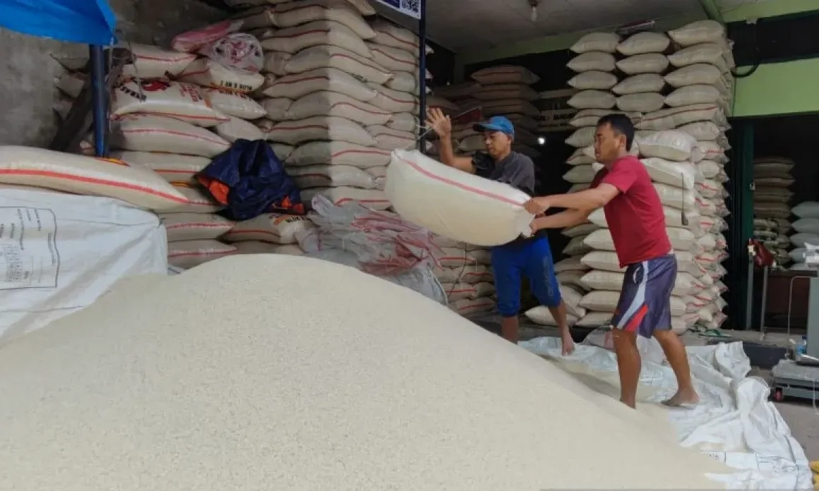 <p>Rata-rata Di Atas 45 Ribu Ton, Bapanas Pastikan Stok Beras Di PIBC Aman</p>