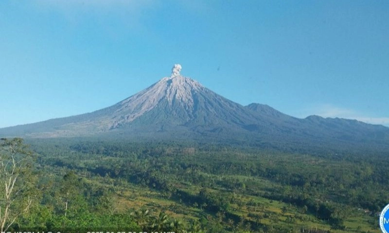 <p>Gunung Semeru 5 Kali Erupsi&nbsp;</p>