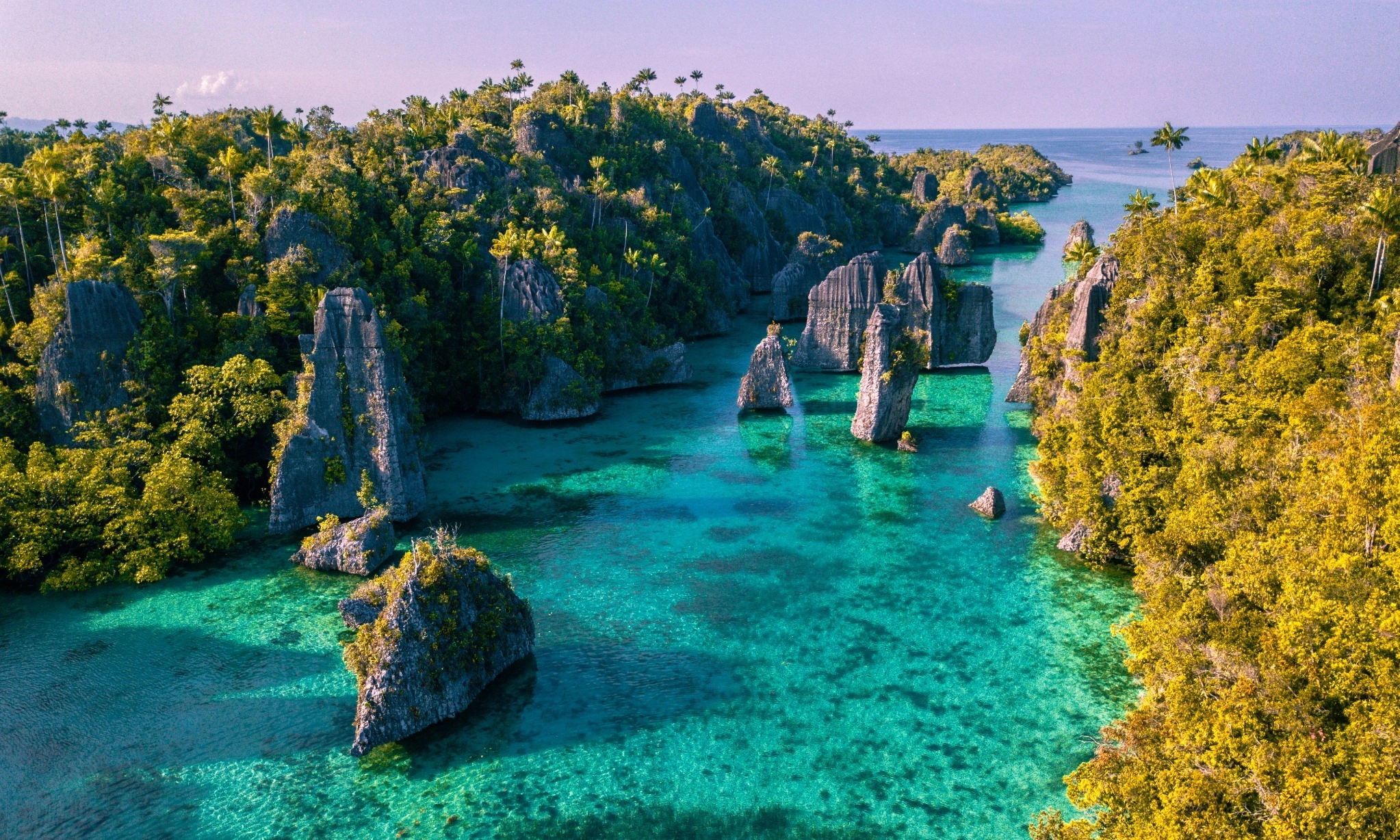 <p>Raja Ampat, Geopark UNESCO dengan Ekosistem Terumbu Karang Terbesar</p>
