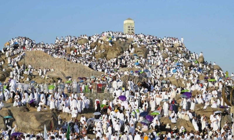 <p>Pemulangan Jemaah Haji Dimulai 11 Juni</p>