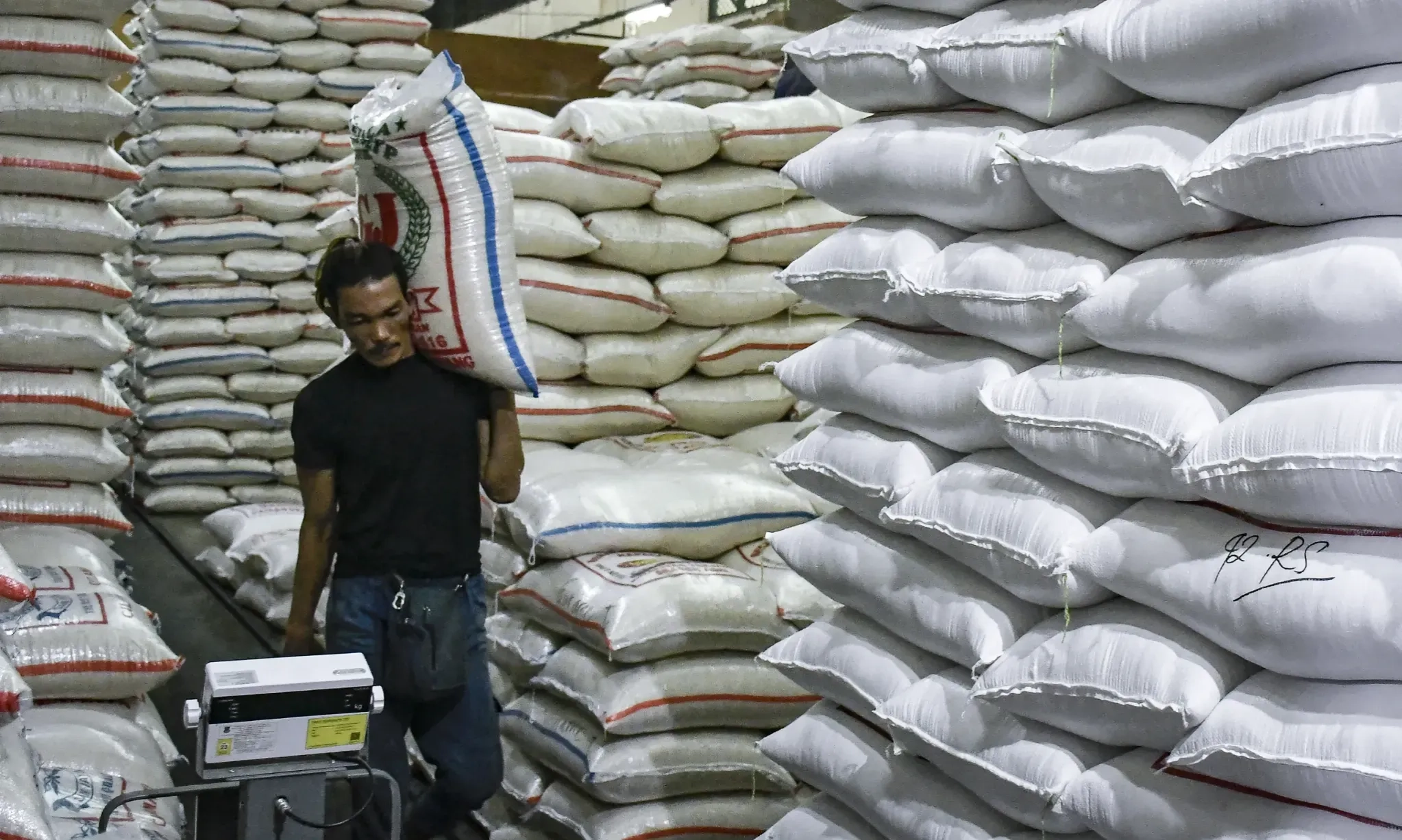 <p id="isPasted">Bapanas Targetkan PIBC Benahi Data Beras Paling Lambat Agustus</p>