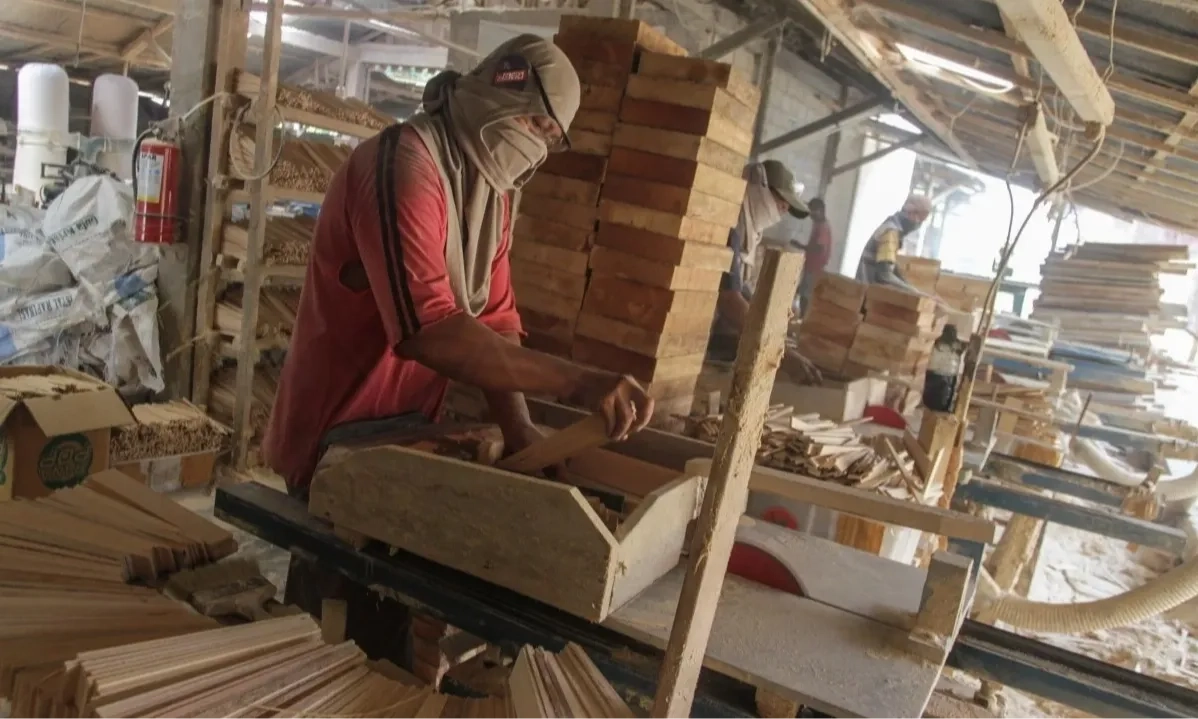 <p id="isPasted">Dituding Dumping dan Subsidi, Ekspor Kayu Lapis Indonesia Kena Selidik AS</p>