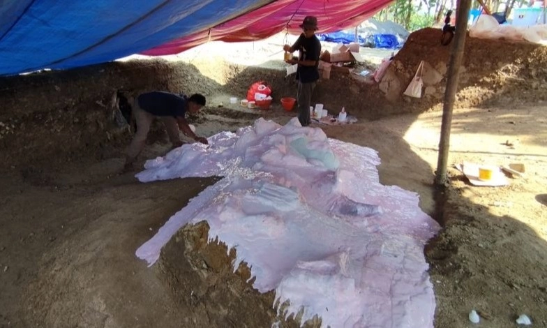 <p>Fosil Utuh Gajah Purba Di Situs Patiayam Direplikasi</p>