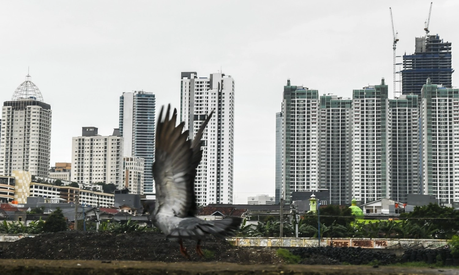 <p>BI Proyeksikan Pertumbuhan Ekonomi RI Moncer Di Semester II/2025</p>