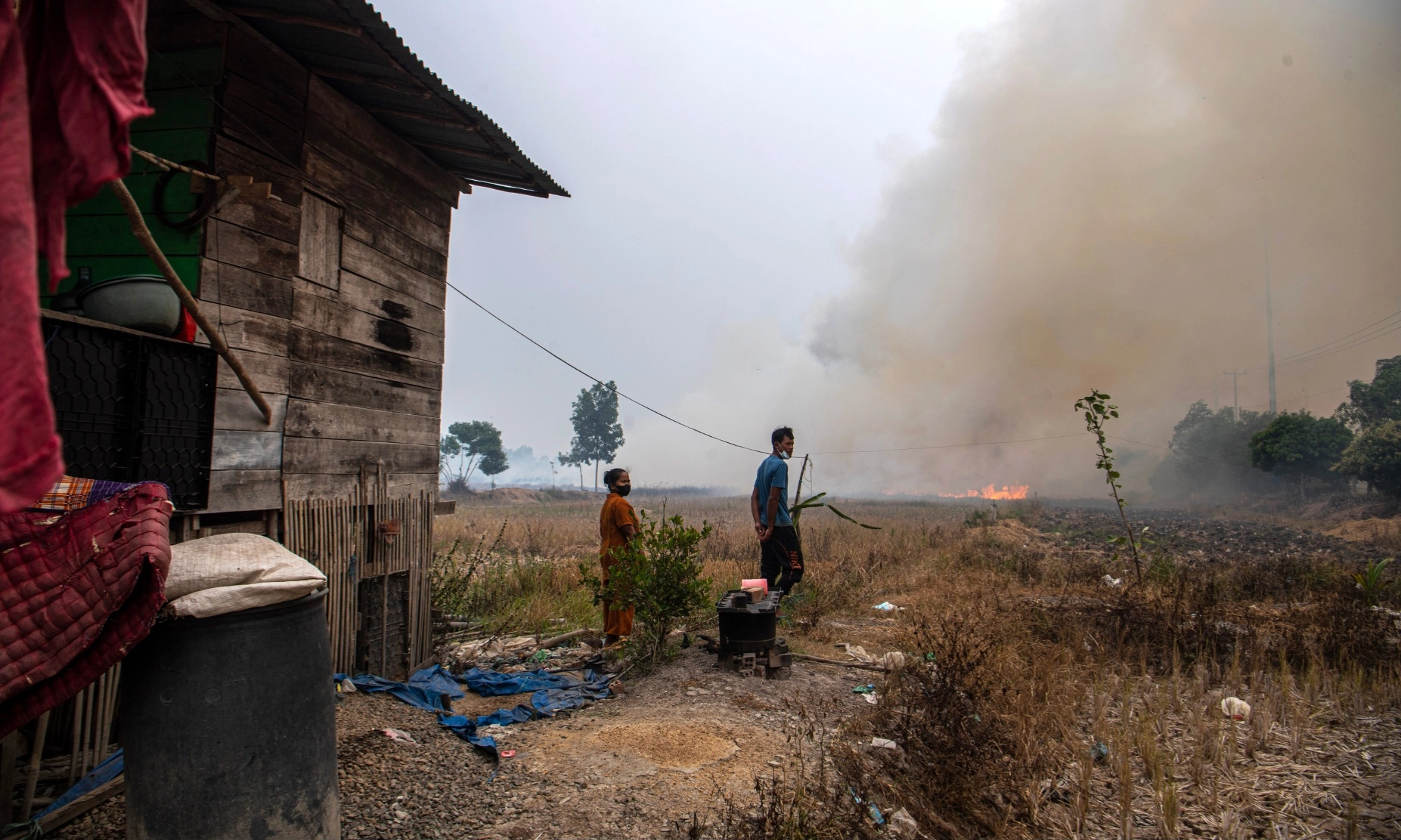 <p>Sumsel Tetapkan Status Darurat Karhutla</p>