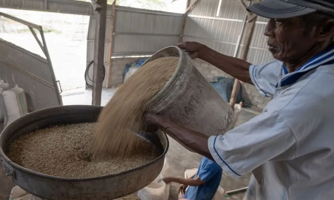 <p>Boncos, Penggilingan Padi Minta Pemerintah Naikkan HET Beras Medium Rp1.000/kg</p>