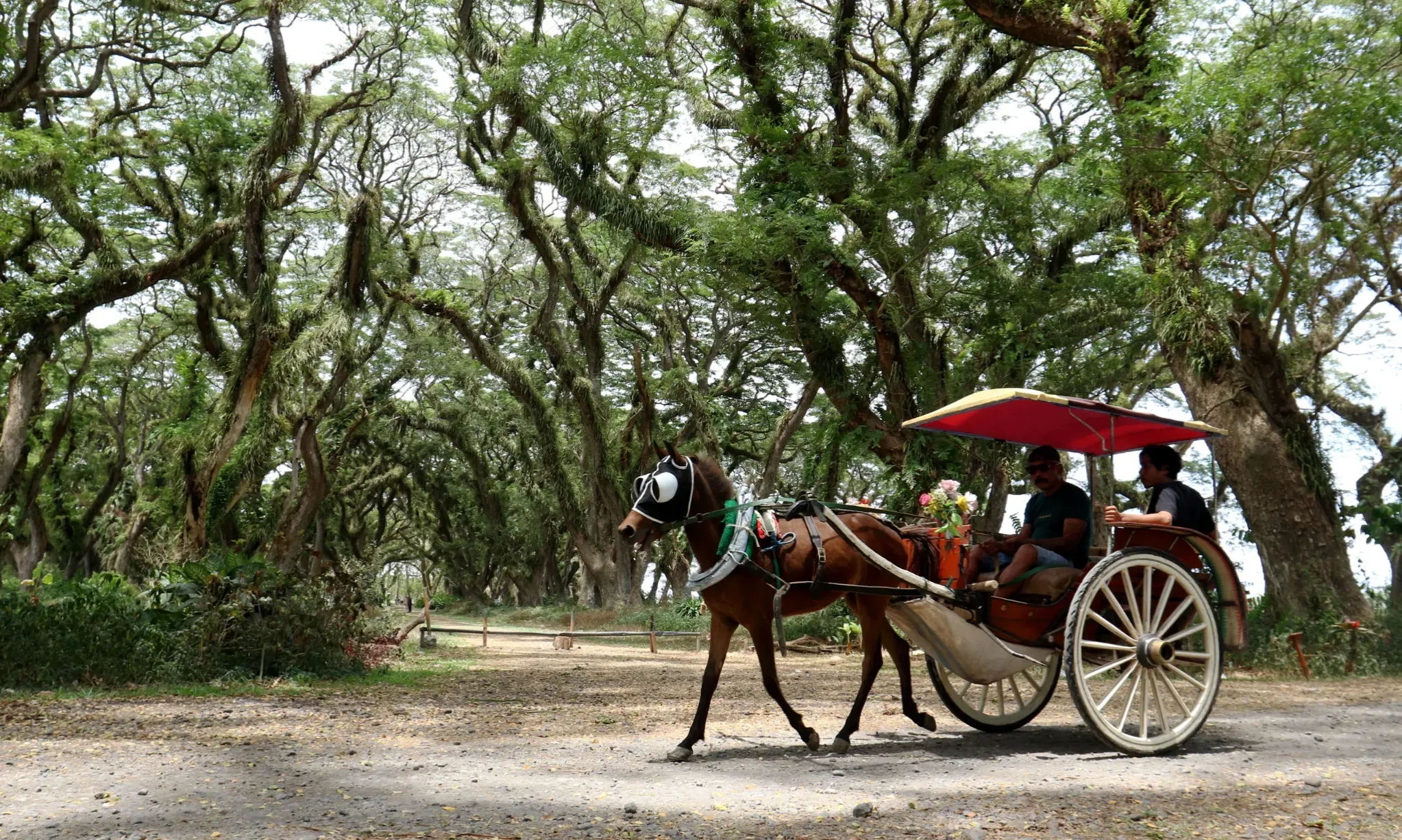 <p>Banyuwangi Jadi Percontohan Gerakan Wisata Bersih</p>