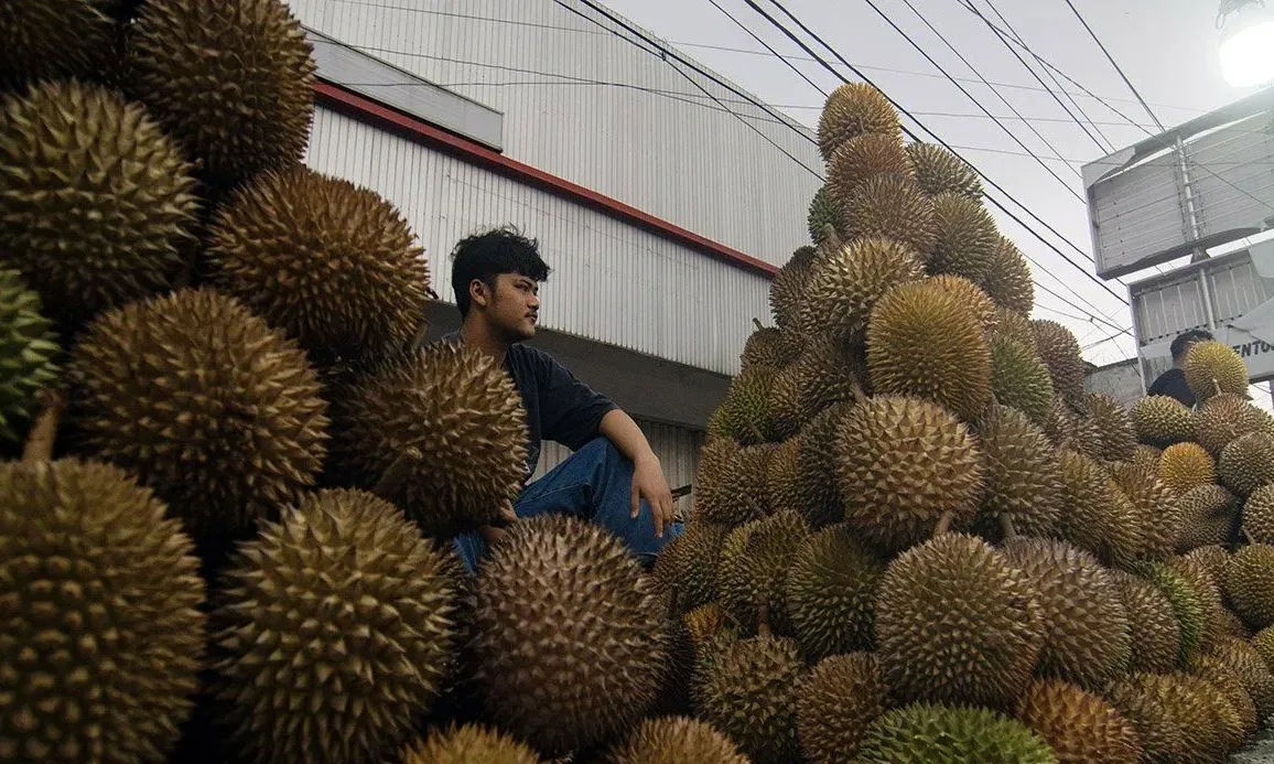 <p id="isPasted">Ekonom: Indonesia Gagal Kejar Peluang Jadi Eksportir Durian</p>