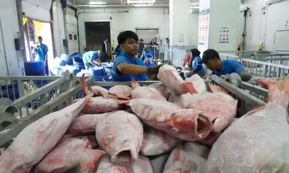 <p>Indonesia Penuhi Standar Global Ketertelusuran Hasil Perikanan Dunia</p>