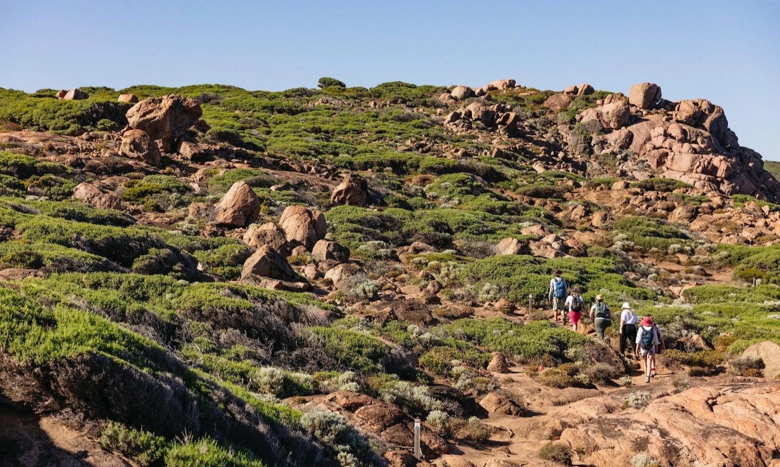 <p id="isPasted">5 Destinasi Ikonik Di Australia Barat Yang Wajib Masuk Daftar</p>