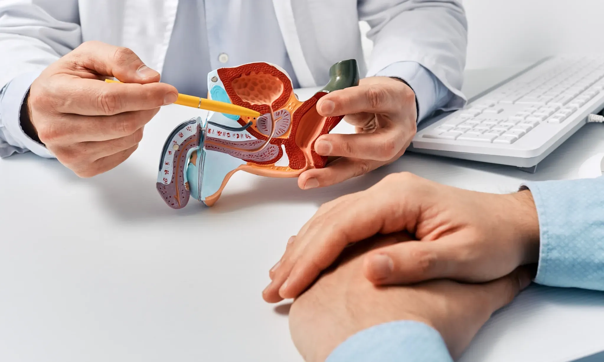 <p>Bahaya Abaikan Sinyal Inflamasi Ringan</p>