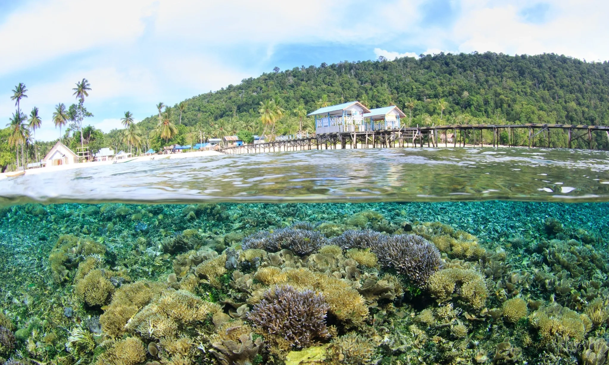 <p>Tantangan Pengelolaan Kawasan Konservasi Demi Pariwisata</p>