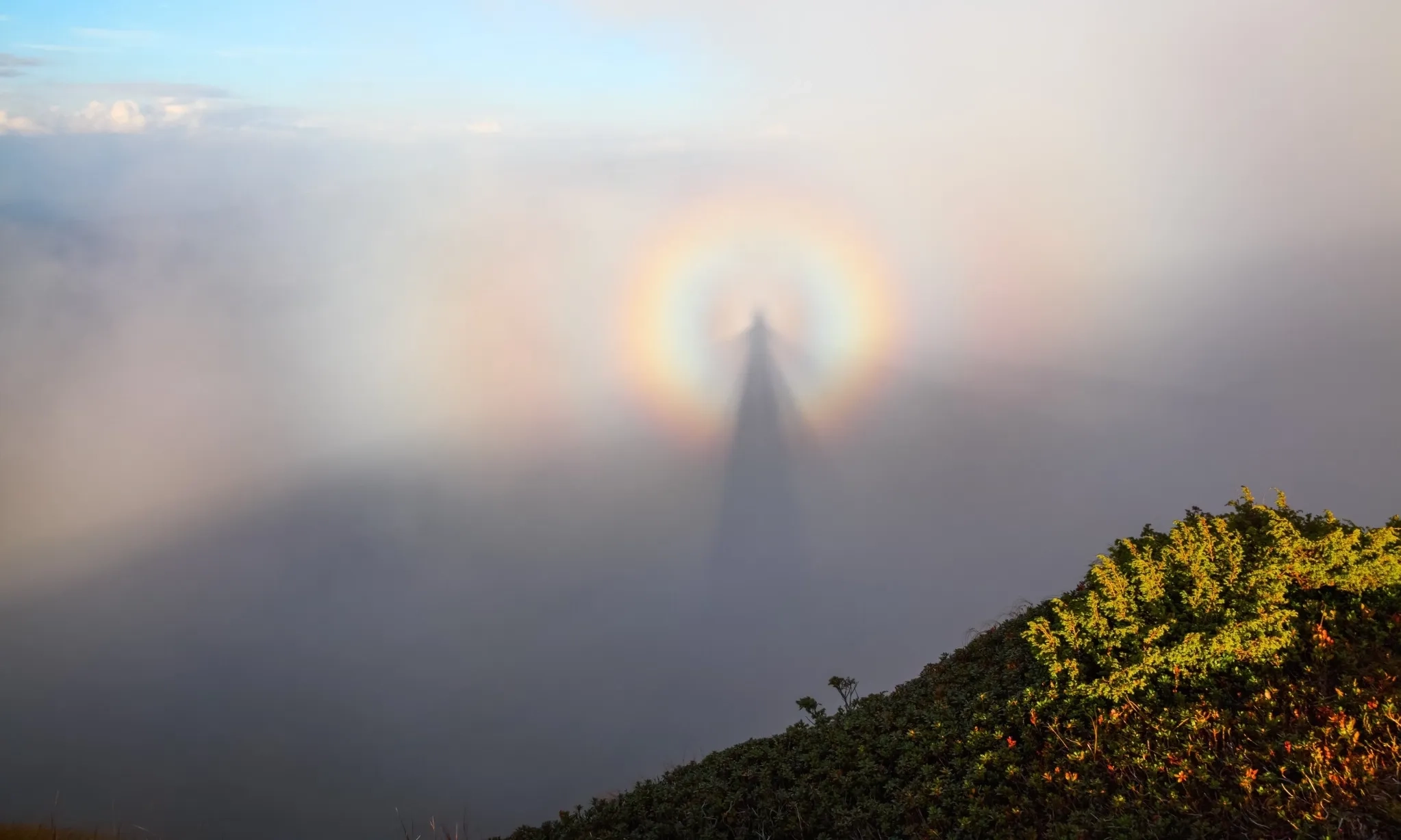 <p>Fenomena <em id="isPasted">Brocken Spectre</em>, Bayangan Raksasa Di Kabut</p>