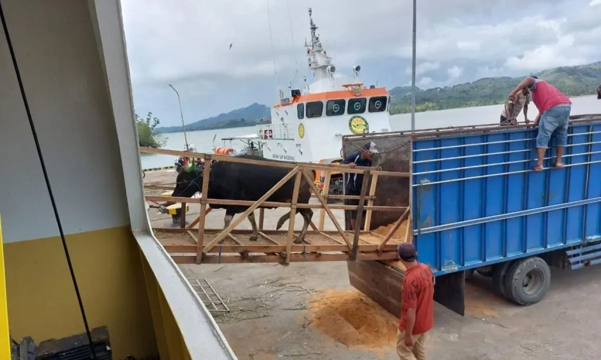 <p id="isPasted">Kementan-Ombudsman Benahi Sistem Perizinan Perdagangan Ternak Antarpulau</p>