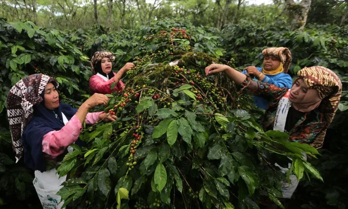 <p>Negosiasi EUDR Krusial, Indonesia Tunggu Respons Resmi Uni Eropa</p>