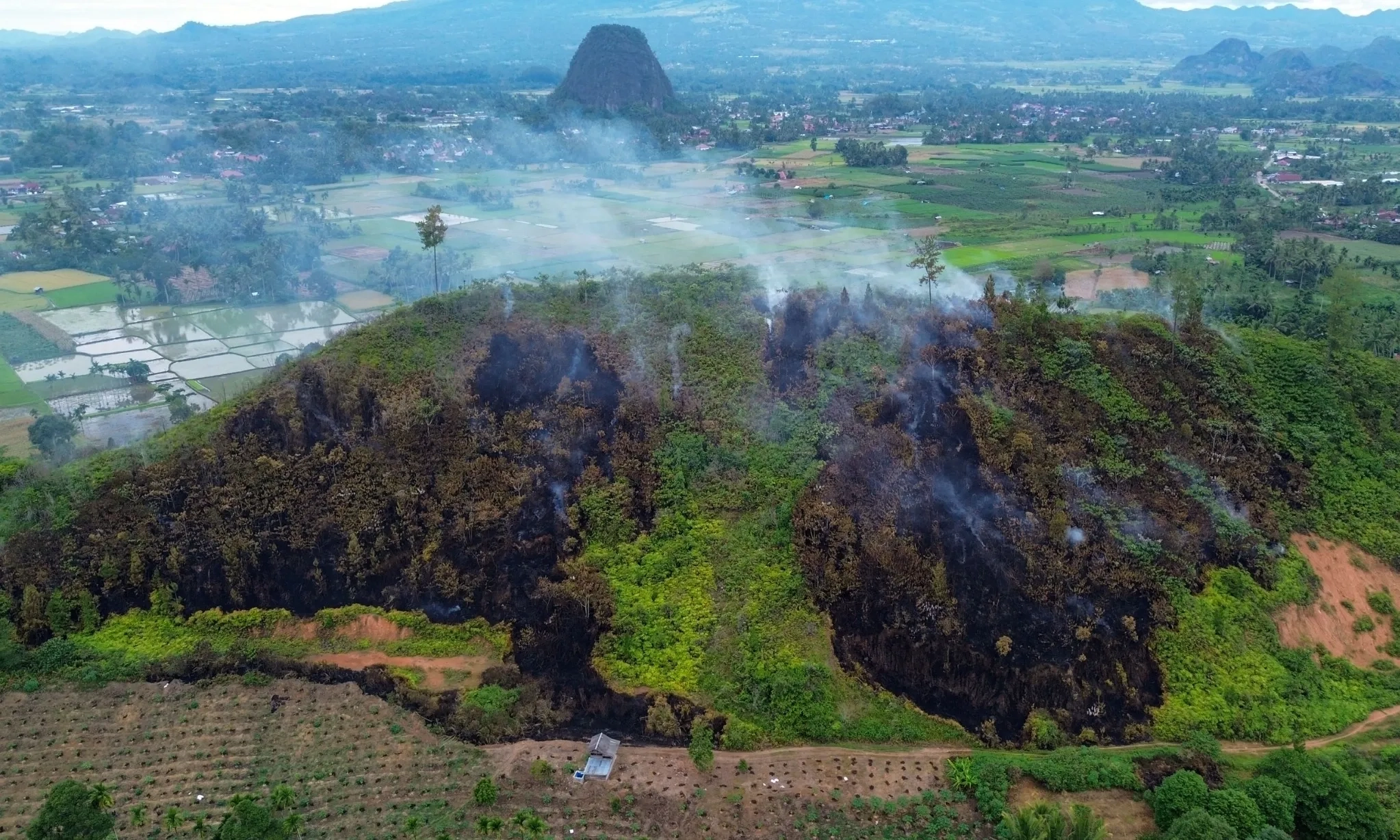 <p>Walhi Laporkan 29 Perusahaan Perusak Lingkungan</p>