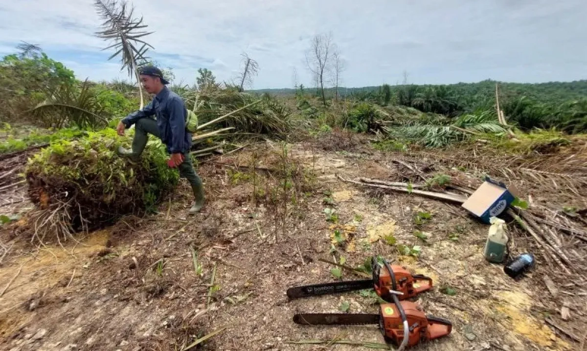 <p>Anak-anak Di Tesso Nilo Akan Ditampung Di Sekolah Lain</p>
