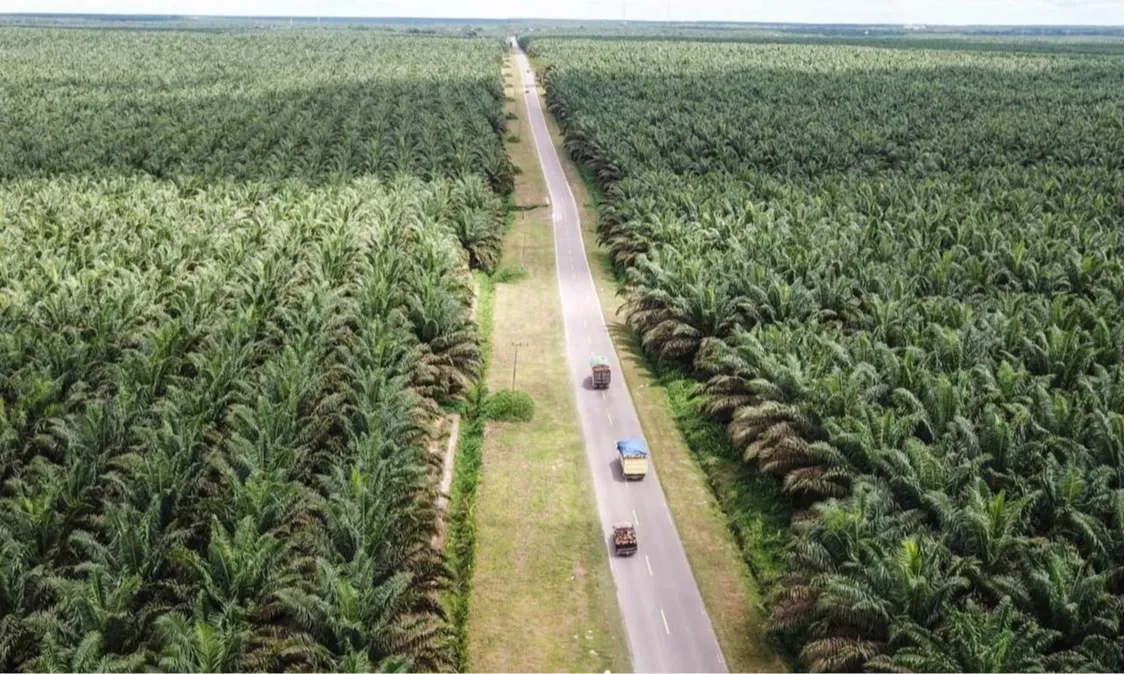 <p>Nusron Jelaskan IUP dan HGU Kelapa Sawit</p>