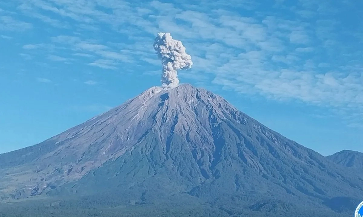 <p>Erupsi Semeru Timbulkan Kolom Letusan Setinggi 1,2 Km&nbsp;</p>