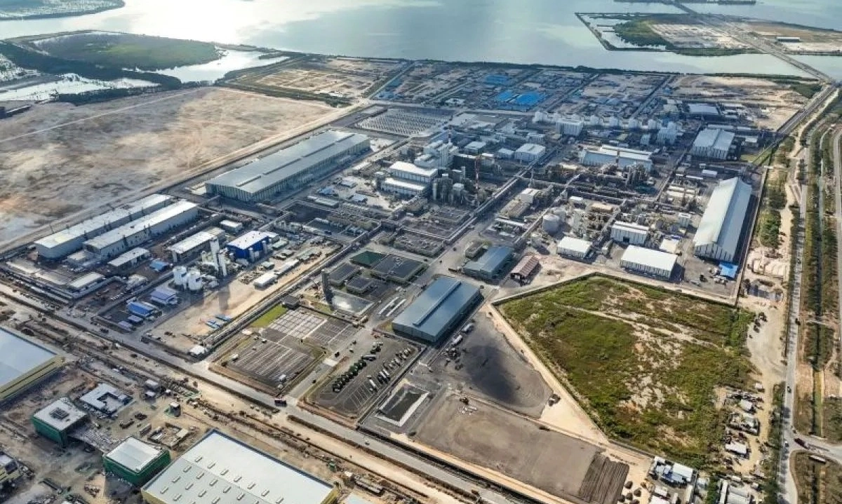 <p id="isPasted">Hindari Bea Keluar, Bos Freeport Berharap Antam Serap 100% Emas</p>