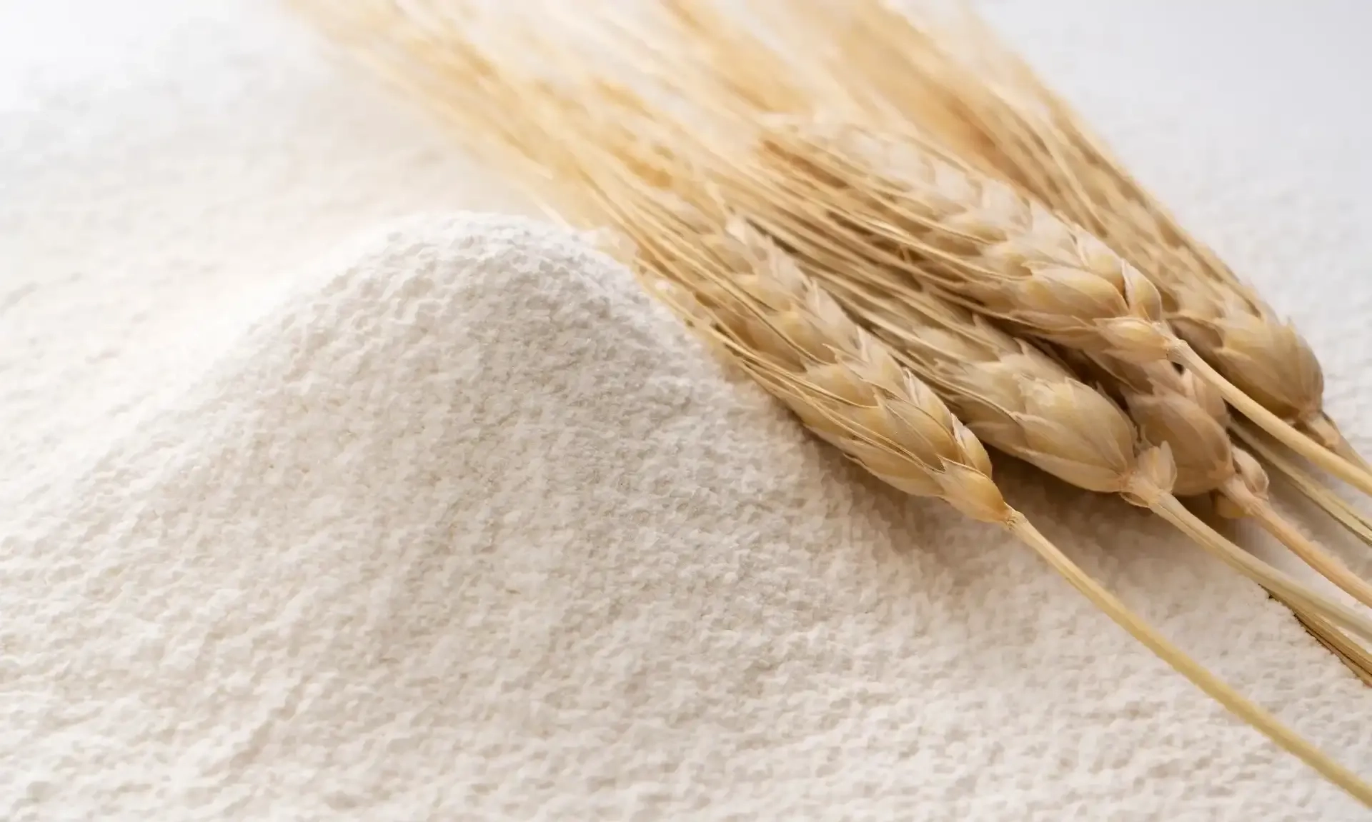 <p id="isPasted">Mentan Sebut Butuh Pertimbangan Sebelum Impor Pangan Dari AS</p>